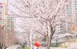 나 계절별로 사진 찍는당