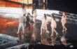 걸그룹 무대 카메라 뒤 모습jpgif
