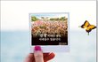 가족들과 같이 오이오? 보러 가는거 어떤지...??
