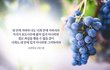 #우리가 모르는 하나님의 역사?