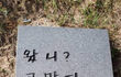 노력중독현상...