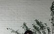 엔터톡