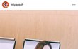 선미가 보여준 델리룩 포인트템