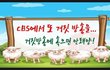 한기총과 CBS의 수상한 관계...