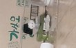 평촌역에서 사온 햄스터는..