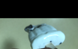 옥동자아이스크림에서 이물질이ㅠㅠ