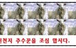 마귀신천지 주의합시다