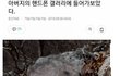 아버지 핸드폰 갤러리에 들어가 보았다