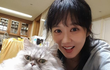 엔터톡