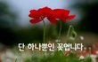 정말후회되는게 뭐야