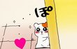 다들 오줌싸고 어떻게 닦아?