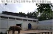 +대구 달성공원 청원/ 이전