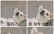 같이다니기싫은 친구유형 뭐뭐있어?