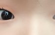 쌍수 제발 ㅠㅠ