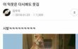 도서관 풀메하고갓는데 왜이런거임