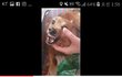 유튜브보다 개빡침 들어와봐