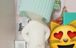 내 방에 존 나 숭한 물건 있어;;