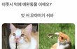 나만 겪었을 거 같은 거 썰풀자