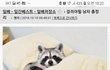 걸러야되는 남자 총정리 feat 일베