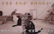 유튜브 채널 구독자 100명 돌파 이벤트해요.