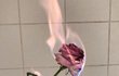 처음부터 끝