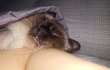 자면서침흘림..ㅋ