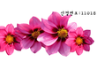 마지막환란때의 심판에 대비하고 사시나요~~