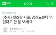 파렴치한 고양이 학대범 고발 합니다. 여러분들의 관심이 필요합니다.