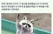 밥 새는법좀ㅠㅜㅠㅠ