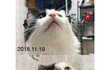 땅콩이 근황이에요~