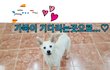 해외이동봉사 부탁드립니다