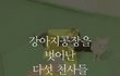 강아지공장에서 벗어나게된 다섯천사들에게 희망을