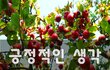 긍정적인 생각~