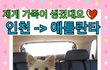 애틀란타 시애틀 해외이동봉사