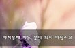 마지못해 피는 꽃이 되지 마십시오~