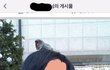 지하철 토끼남 거쳐간 동물들 백업2