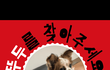 공주시에서 실종된 믹스견 보시면 연락주세요..