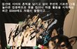 작품 활동 시작한 화가 시바견