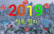 신입입니다