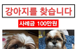 화랑유원지에서 잃어버렸어요.