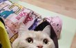 (통이네)눈빛 어쩔거야