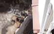 놀이터 앞 16미터 만리장성 옹벽, 감옥이 되는 아파트