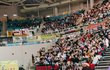 어제자 아육대에서 바람피다 걸린 팬덤(feat.엔씨티 아스트로 더보이즈 sf9)
