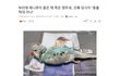 토.끼.남. 1. 이번엔 시바견!!!