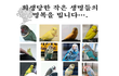 지하철 토끼남 국민청원 동참해주세요
