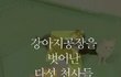 강아지공장에서 벗어나게된 다섯천사들에게 희망을