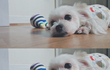 몽아 너랑 어떻게 이별해야 하니