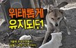추운 겨울 뜬장에서 시작된 아기 강아지 다섯의 삶