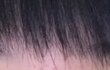 나 삭발한지 7개월ㄷ 됏어