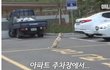 집 나간 후 아파트 주차장에서 주인만 올려다보는 개